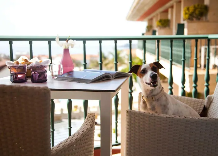 Hotel com vista: Augusta Eco Wellness Resort 4 Superior