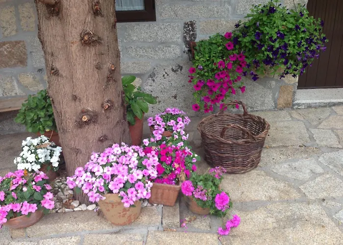 Chalet: Casa O Fabal